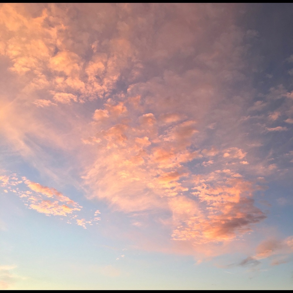 Meet your Posher, Aquarian Finds